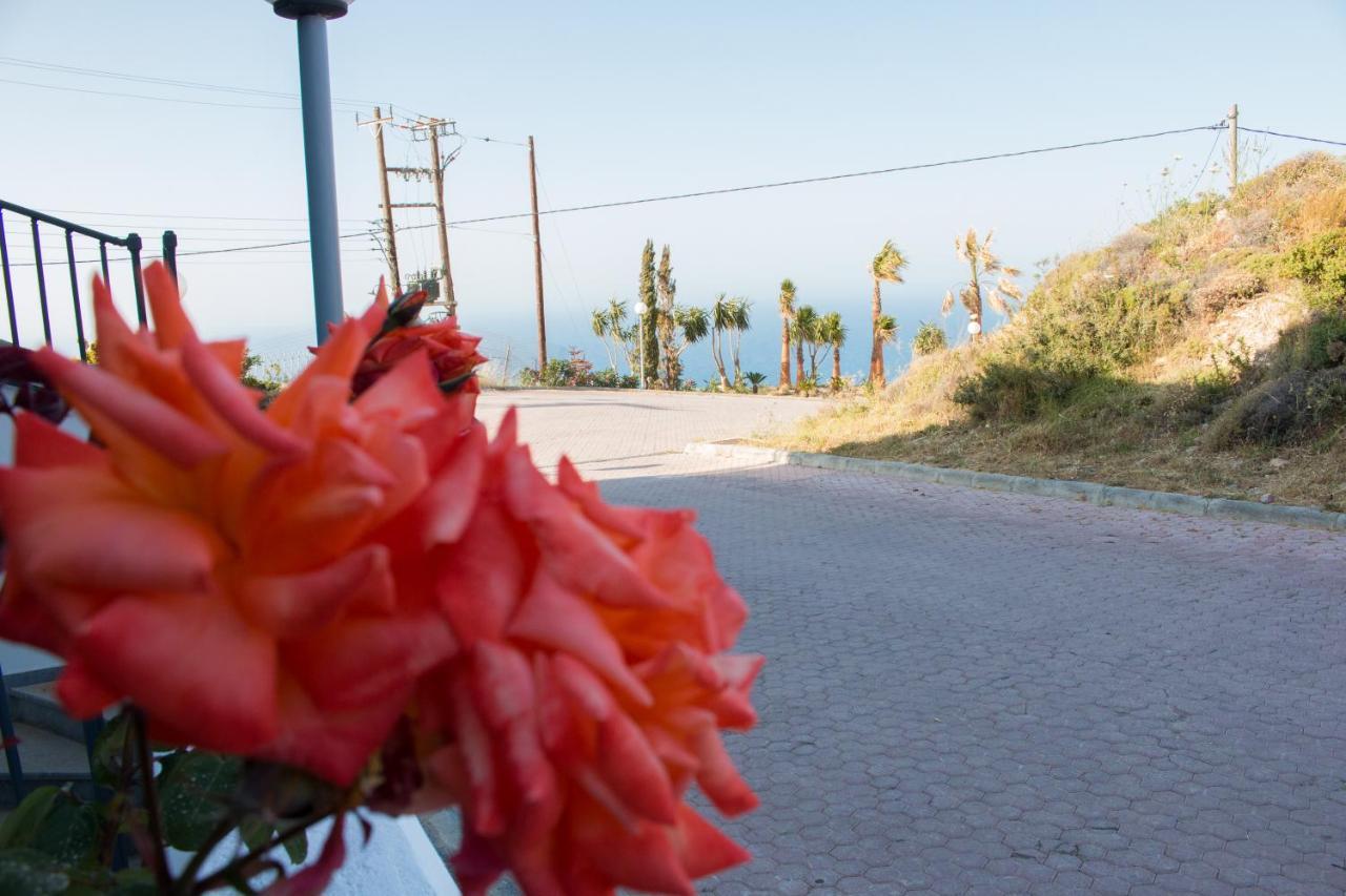 Apartment Vasiliki , Theseus Village , Heraklion *